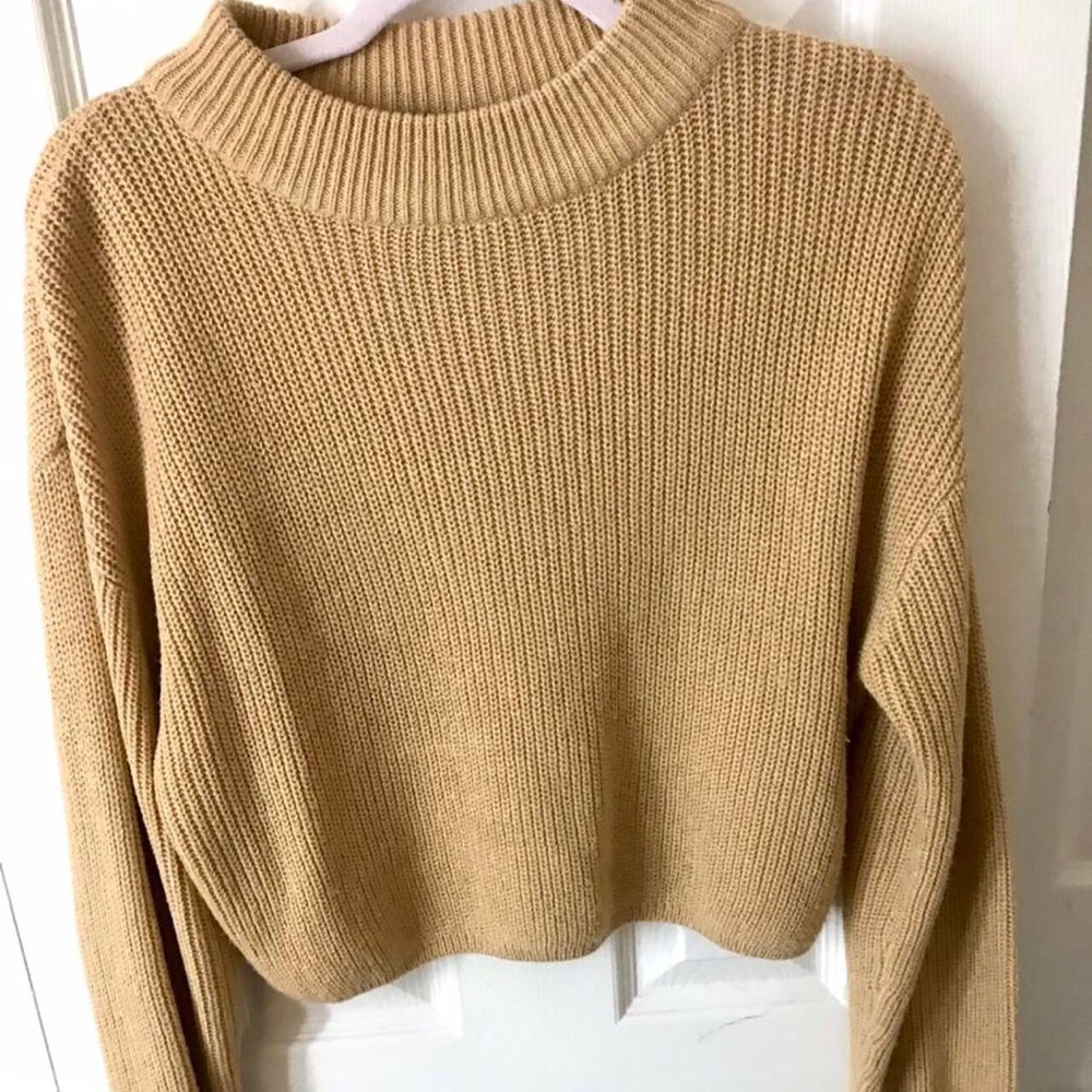 Camel Cropped Mock TurtleNeck